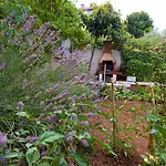 Tridesettri Apartman *
