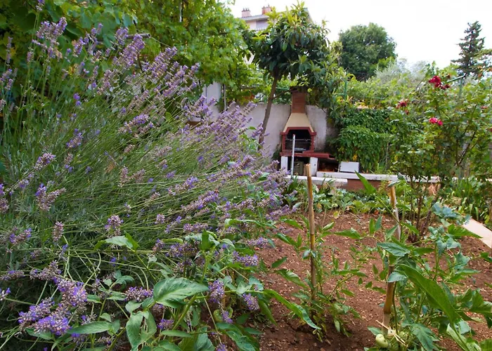 Tridesettri Appartement *